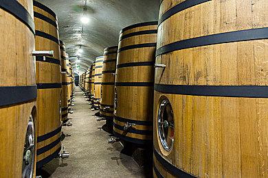 青年潜入商店偷窃宝可梦卡片 被美国警察当场击毙